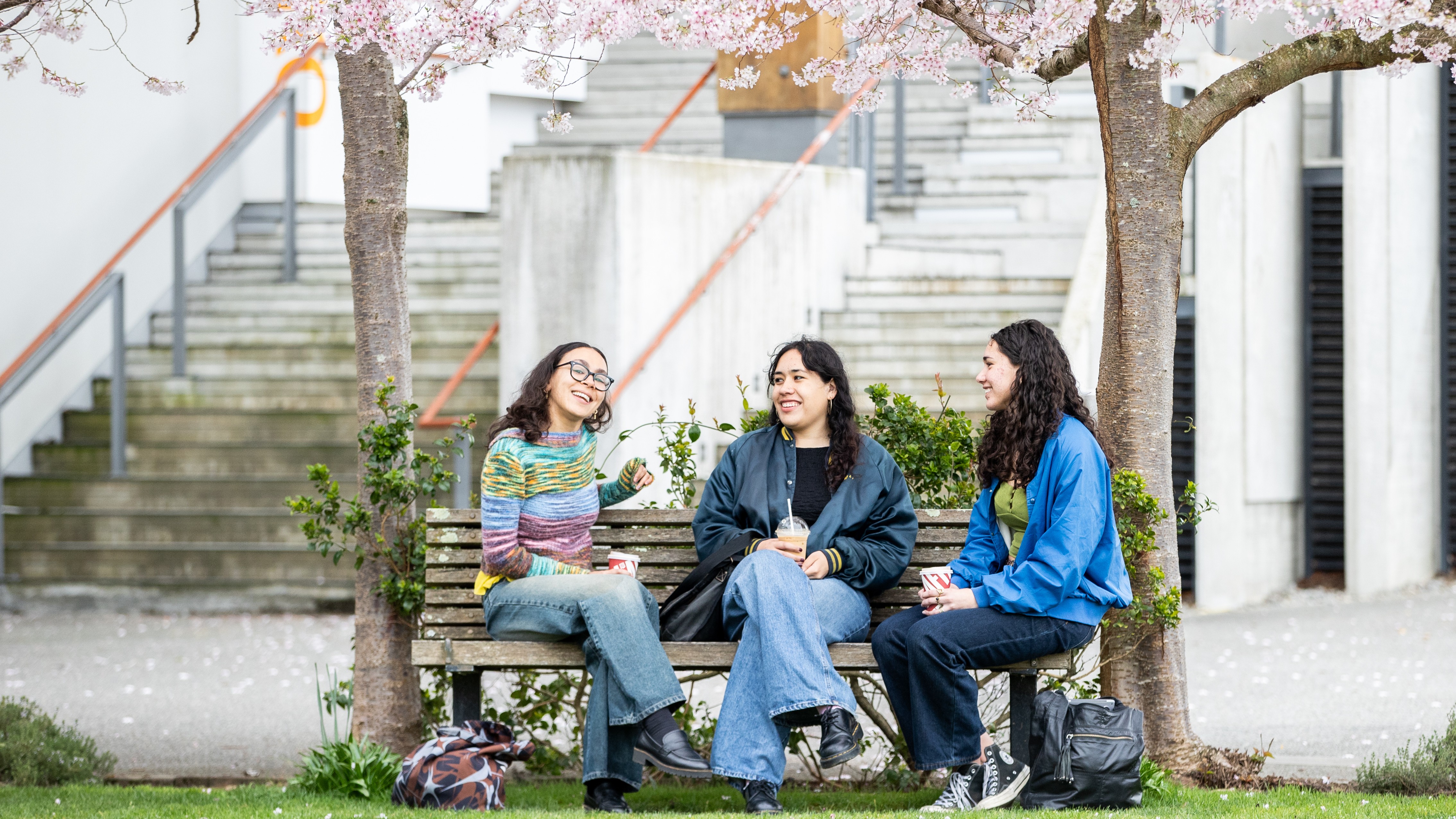 three young women chat under cherry blossoms at Massey University