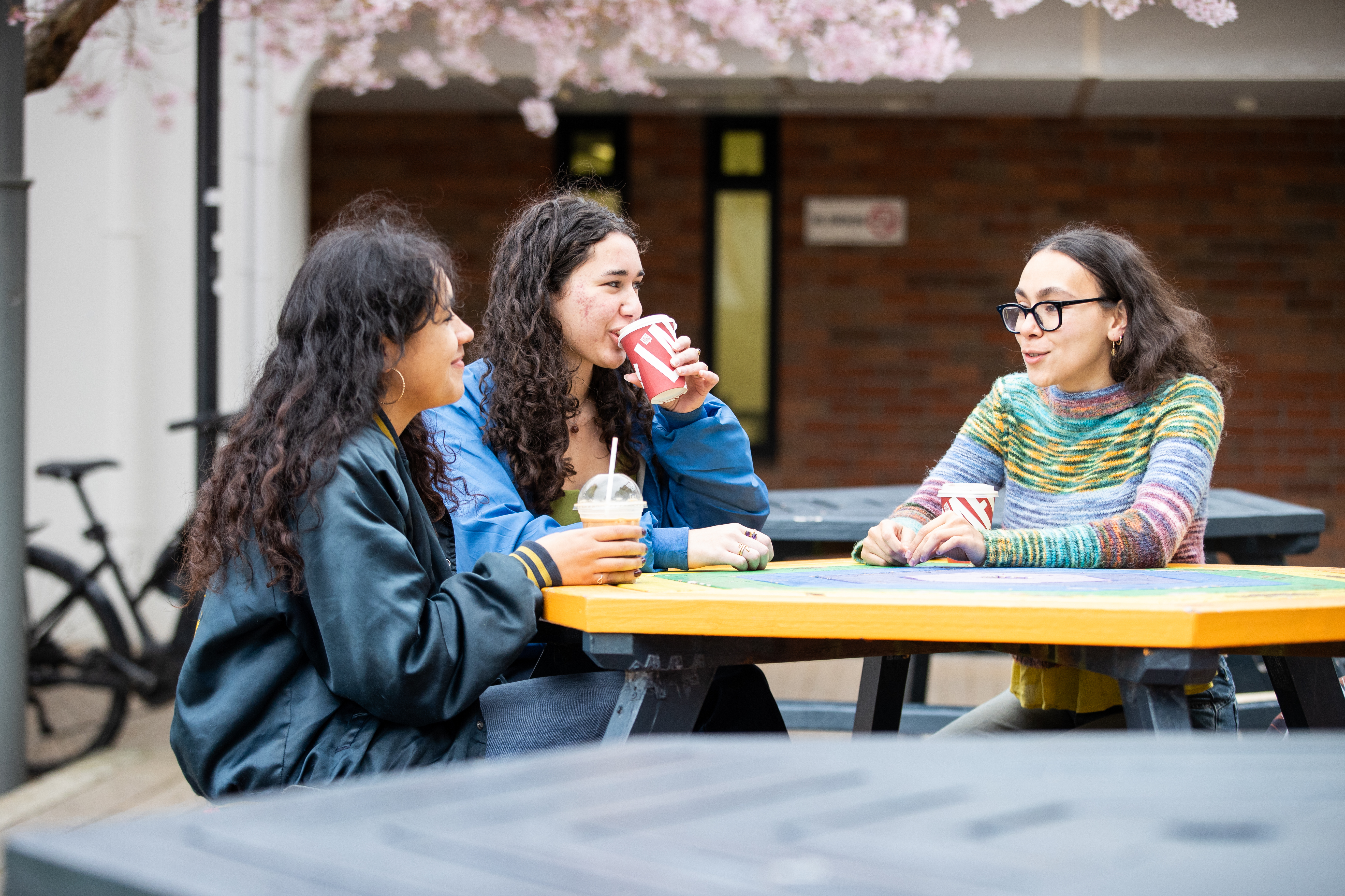 3 young women sitting at a table/bench having a drink and chatting at Massey University