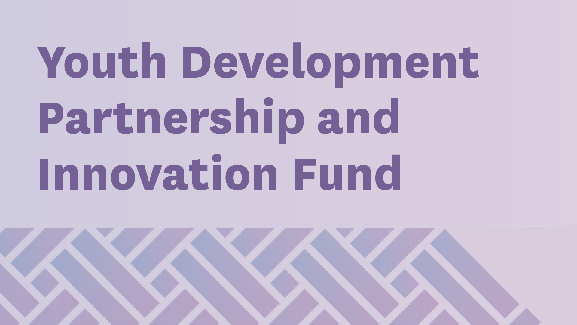 Youth Development Partnership and Innovation Fund graphic card pink