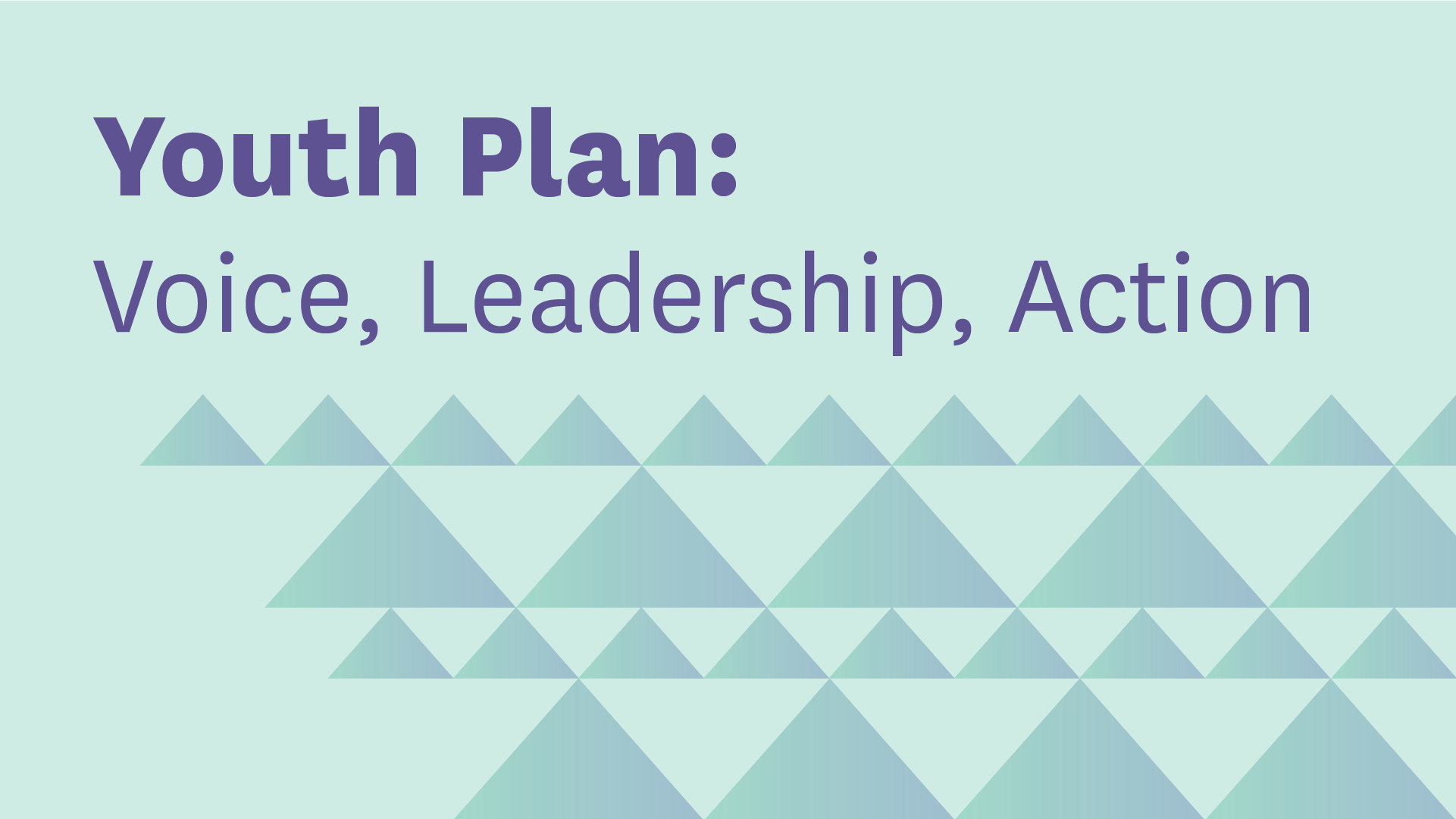 Youth Plan  Voice, Leadership, Action title card