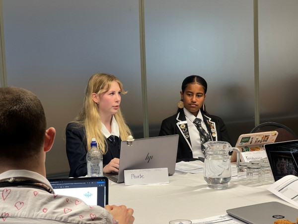 Phoebe (left) and Kena (right) are pictured mid-discussion during a Parliamentary Working Group session