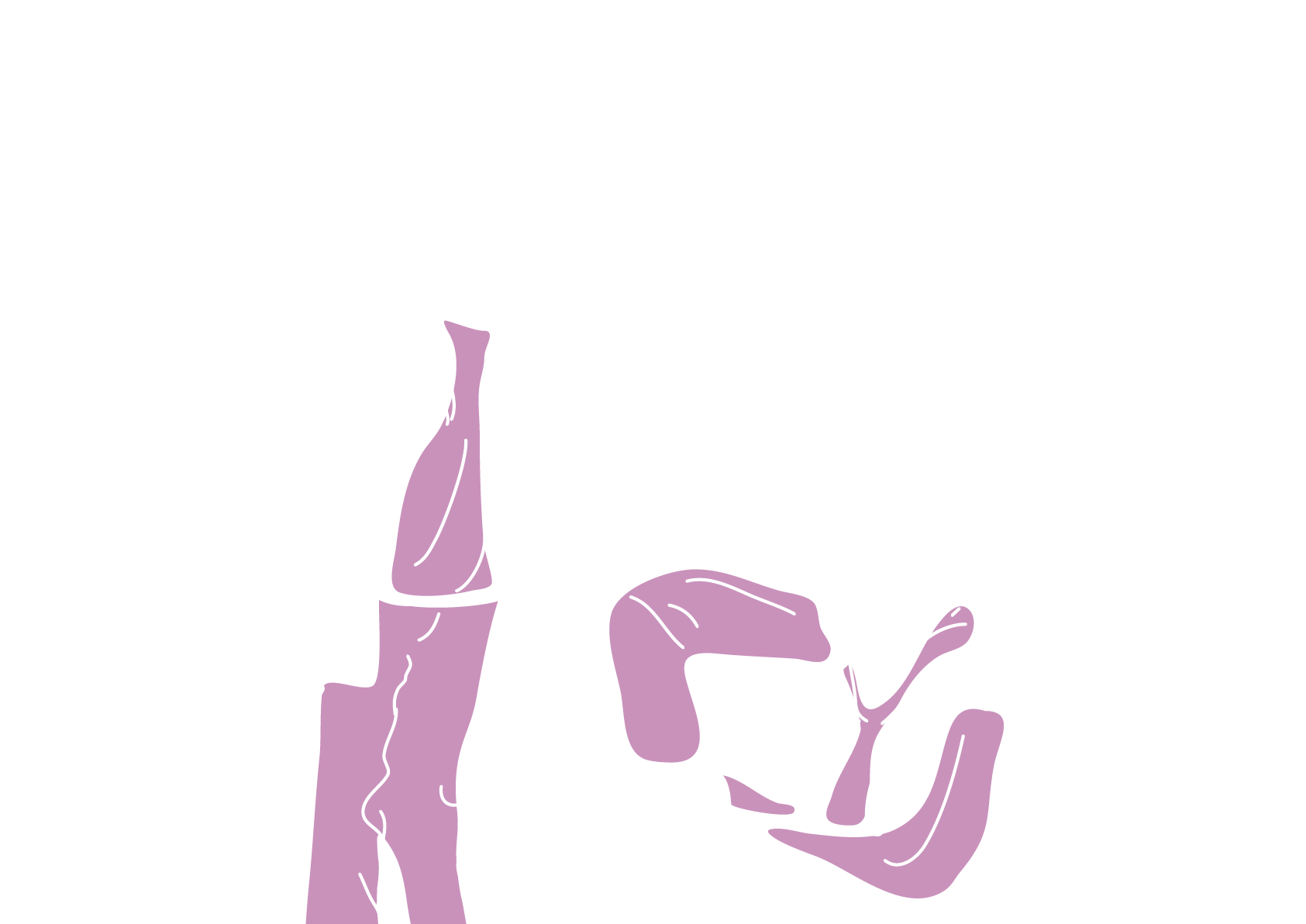 resources and reports